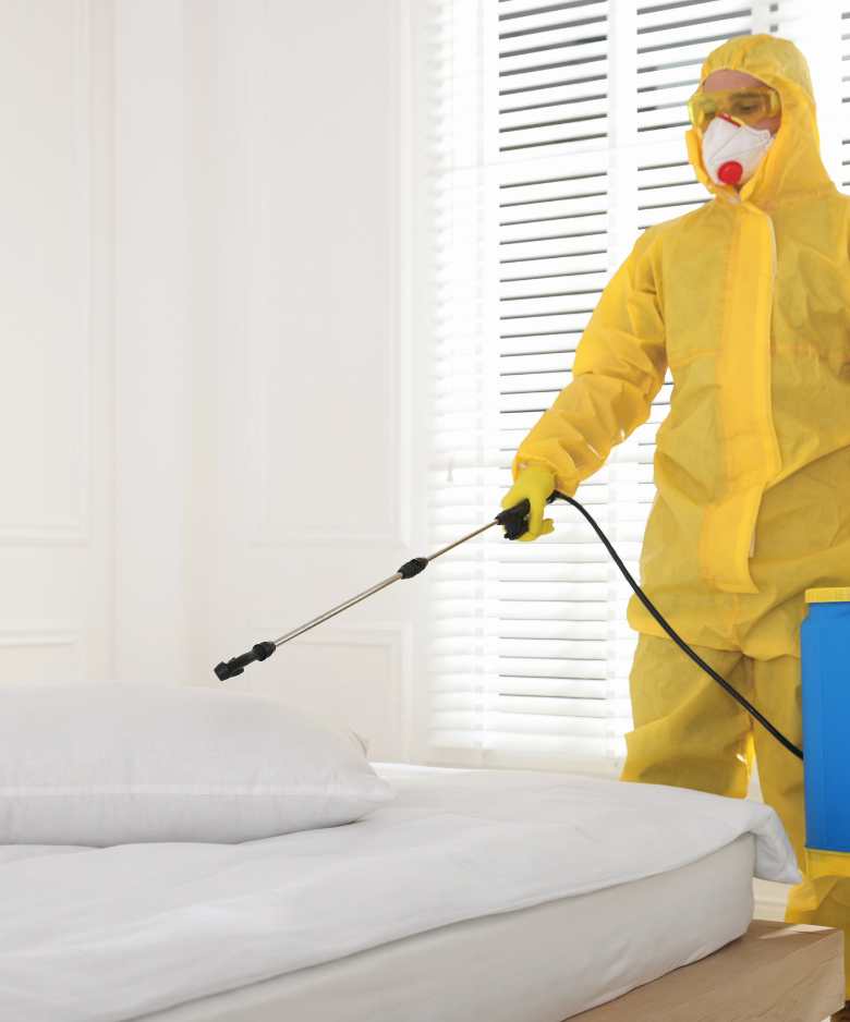 Professional Pest Control Team in Noarlunga Centre